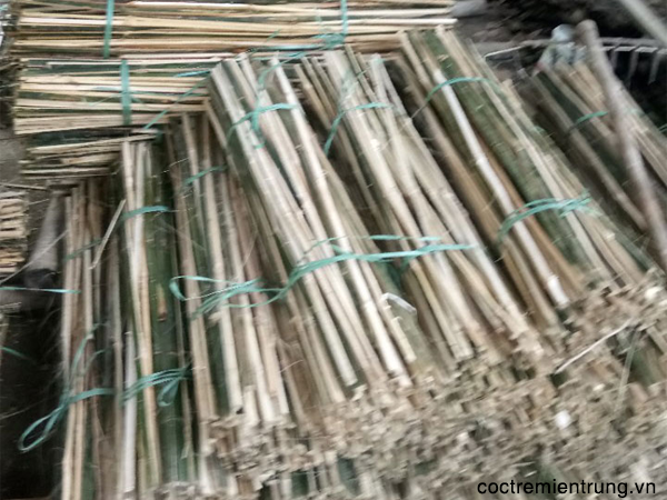 Mua bán que tre cắm hoa